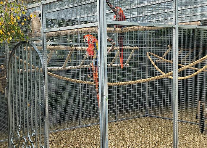 hébergement avec perroquets