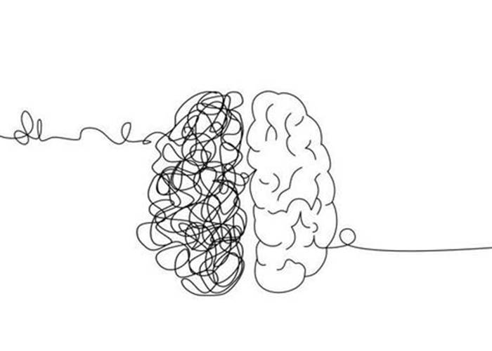 Notre cerveau décide de tout et on peut changer à tout âge.