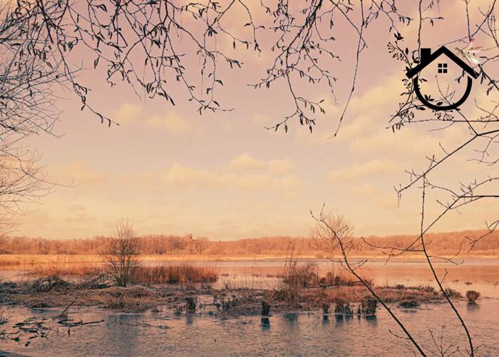 Aube Sauvage - Virelles