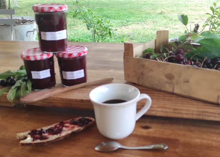 BRITAVIT Confiture de cerises du jardin-page