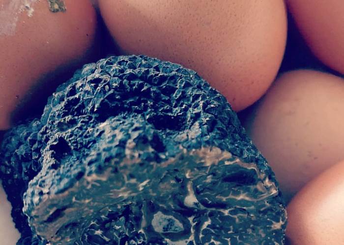 Brouillade aux Oeufs