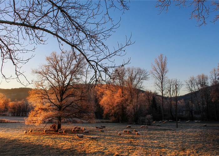 Lot Tourisme -Boussac- © L