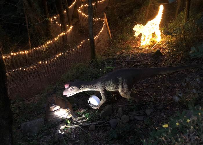 Parc DINOPEDIA illuminé en soirée