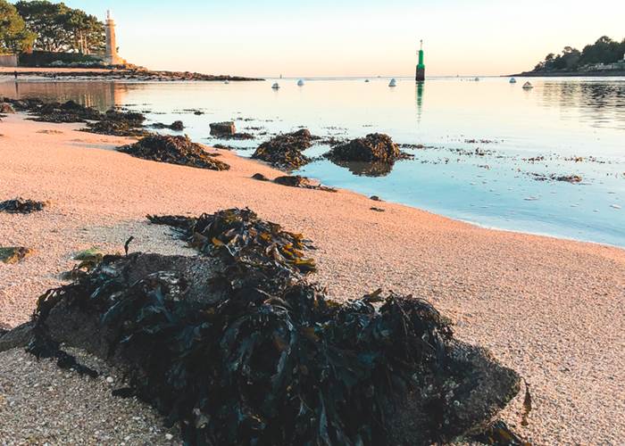 Embouchure de l'Odet depuis la plage du Coq Bénodet