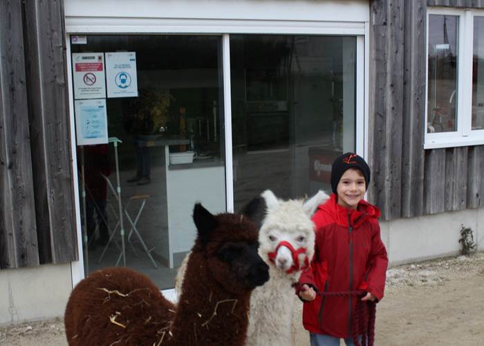 alpagas_enfants_ferme