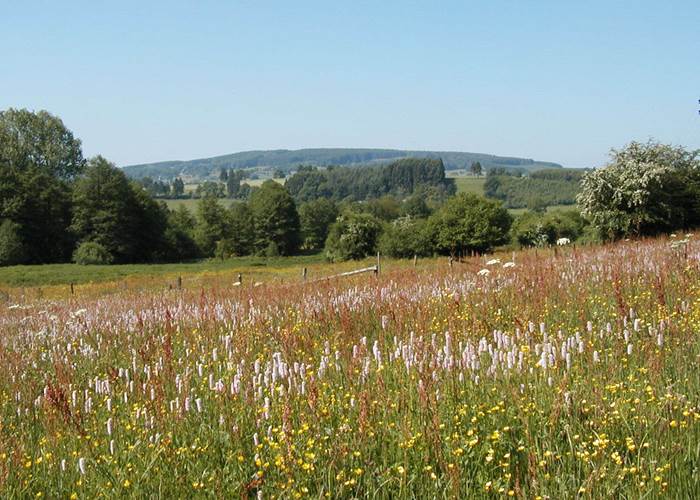 réserve naturelle des prés de la lienne