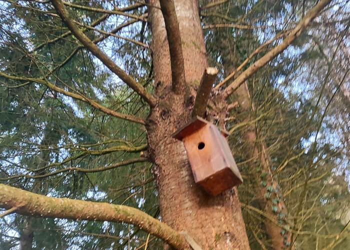 maison oiseaux 2