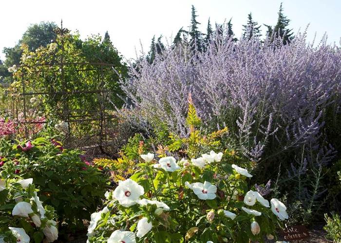 Jardin d'Alcinoos