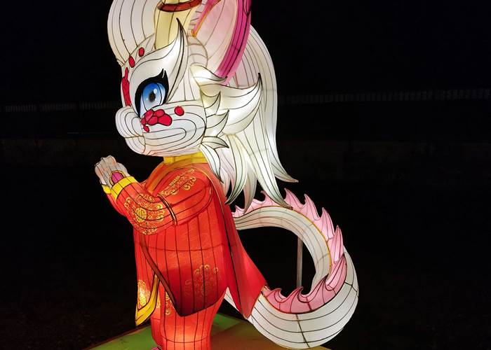 Signe chinois du Dragon