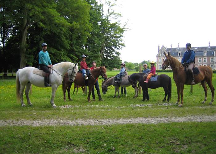 Château de Behen Chevaux