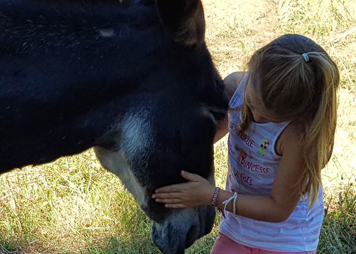 Rando avec un âne, étape à la Maison du Masjoubert