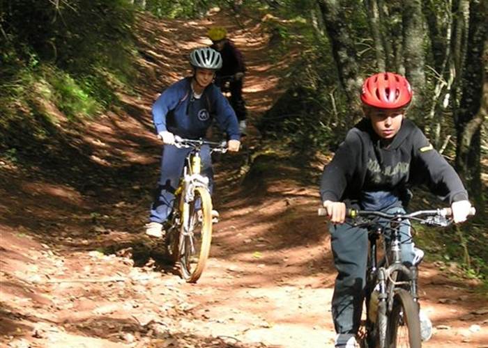 Vtt