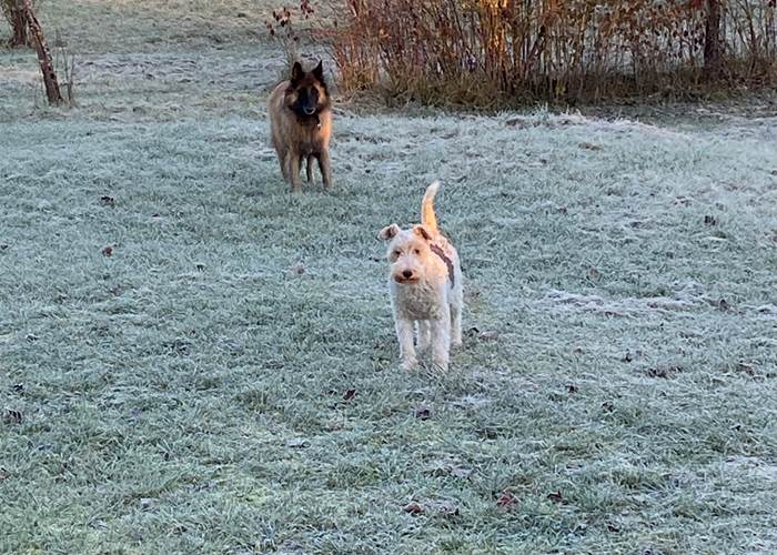 Gélye et Lady Bird Gravier Gramat