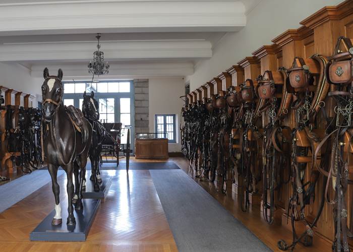 Le Haras de Tarbes