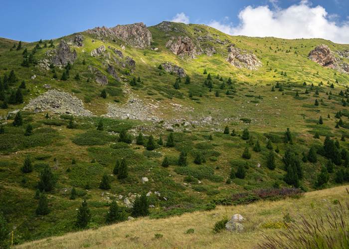 Activités en vallée d'Aspe
