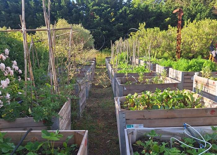 Verger et potager bio