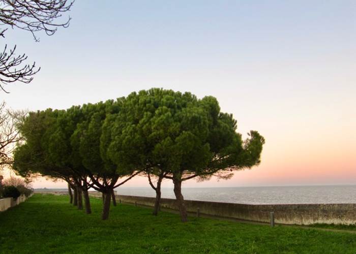 Promenade le long des remparts en bas de MaisonMer