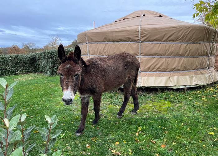 Gaspard écopaturage