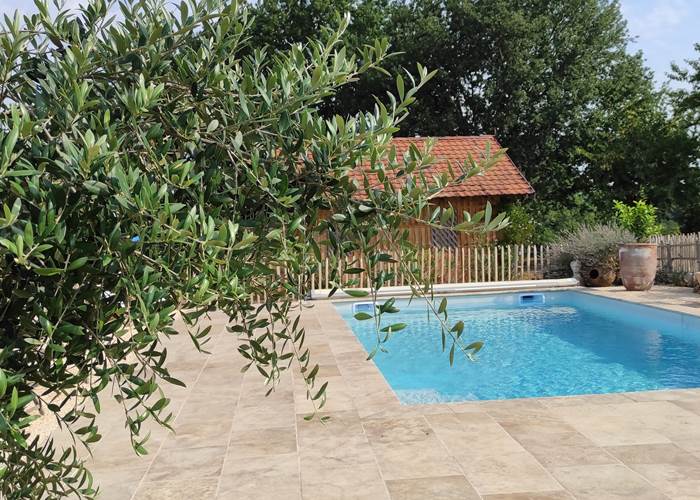 piscine d'eau salée  avec vue sur la bastide de Beaumont du Périgord-page