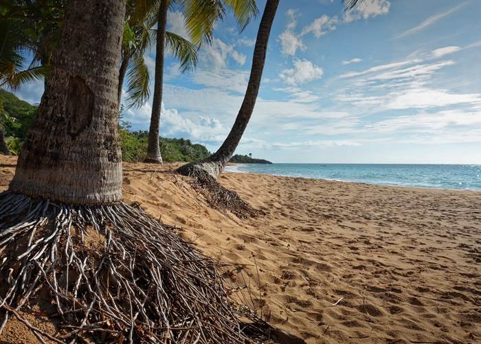 Gite_Rural_Flane_Capesterre_Belle_Eau_Guadeloupe_Basse_Terre