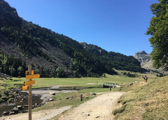 hiking in the mountains / randonnée en montagne