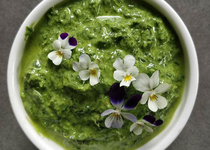Tartinade d'ail des ours