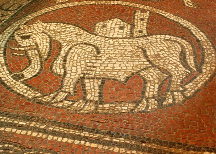 La Mosaïque de Ganagobie