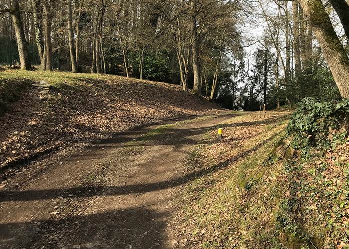Bois chemin 2