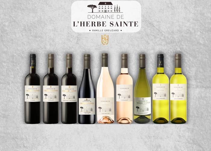 visite vignoble 11
