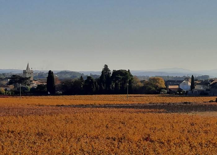 Mailhac sous des couleurs automnales