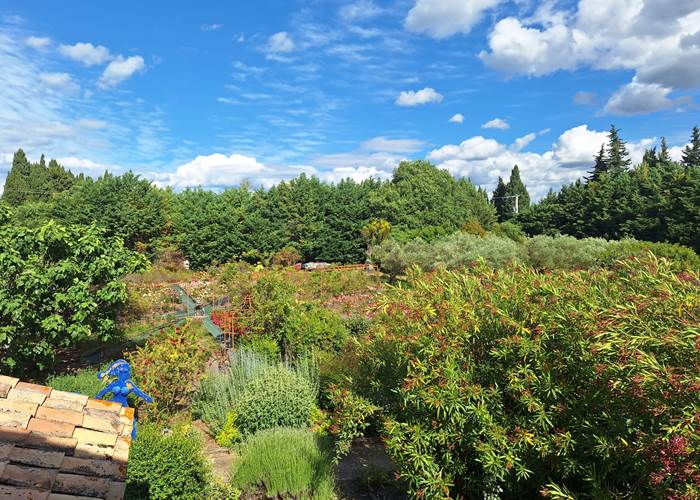 Jardin d'Alcinoos