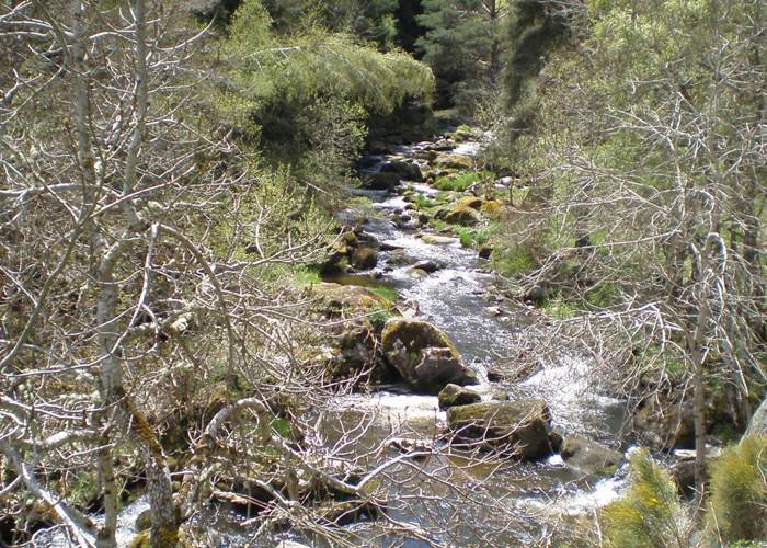 Le ruisseau le Grandrieu