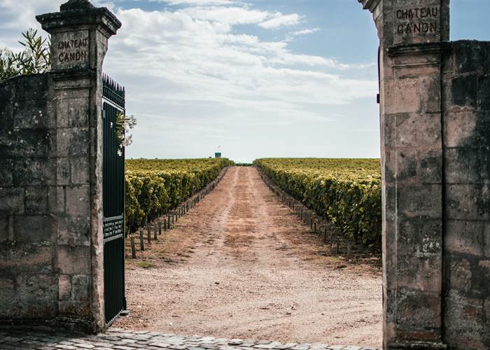 Vignoble