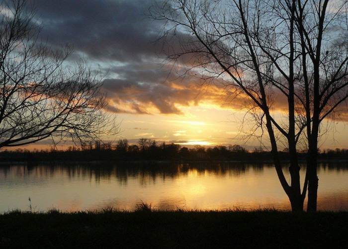 Guinguette, Plats à partager, Jazz, Concert, Produits locaux et frais, Vins Biodynamie, Nature, Vue sur Dordogne