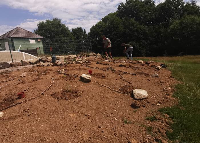 Plantation des aromatiques