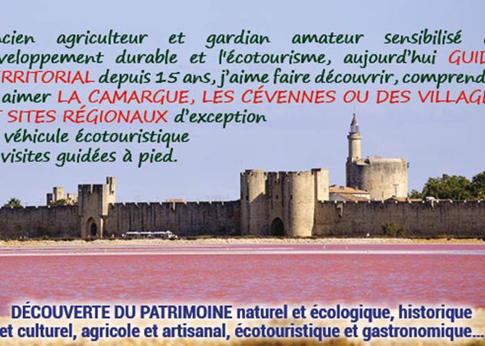 Sans titre