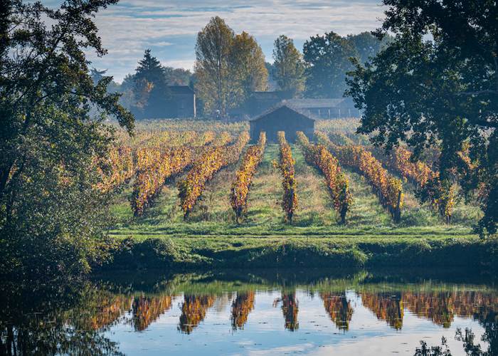 Vignoble en automne Luzech © Steve Jones-3