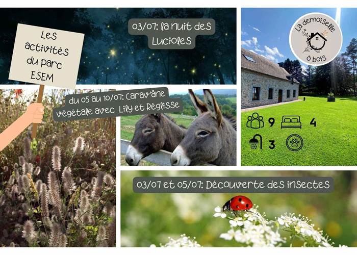 Parc ESEM - Juillet 2025