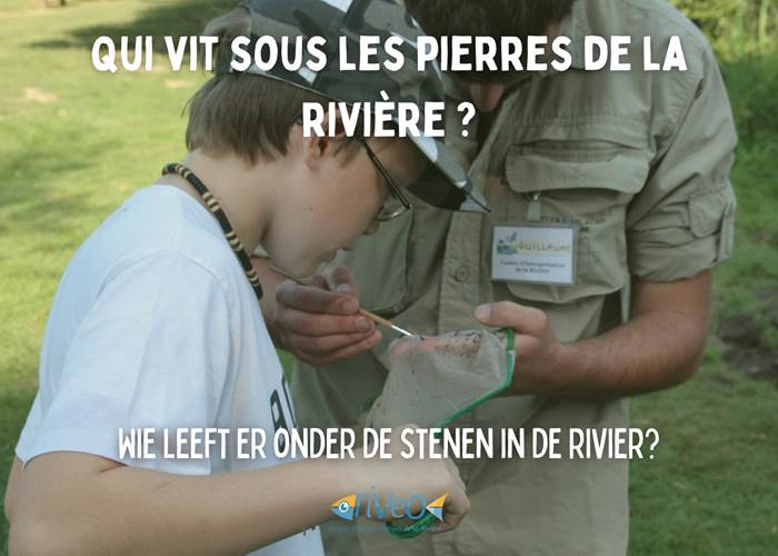 activite-famille-decouverte-nature-riveo-wallonie