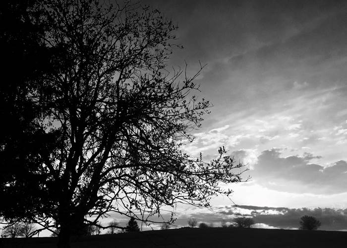 Haut du Tôt, Vosges-page