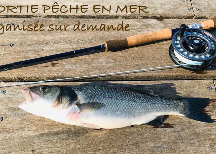 pêche à la mouche du bord de mer en Wading
