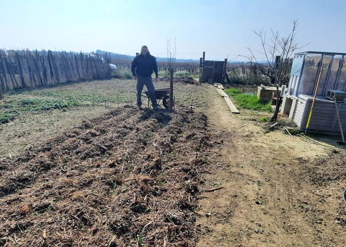 Potager "Le Coq du Nord-Mailhac"