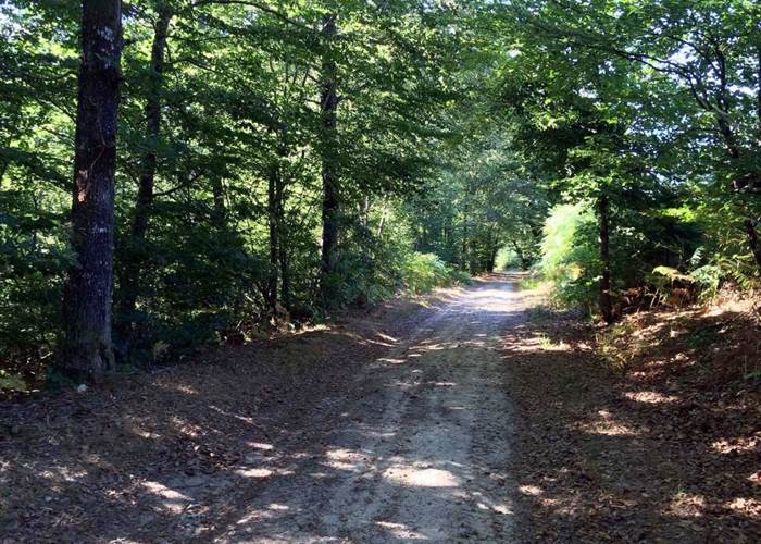 Sentier des Demoiselles