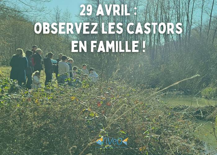 balade-nature-castor-famille-printemps-ardenne