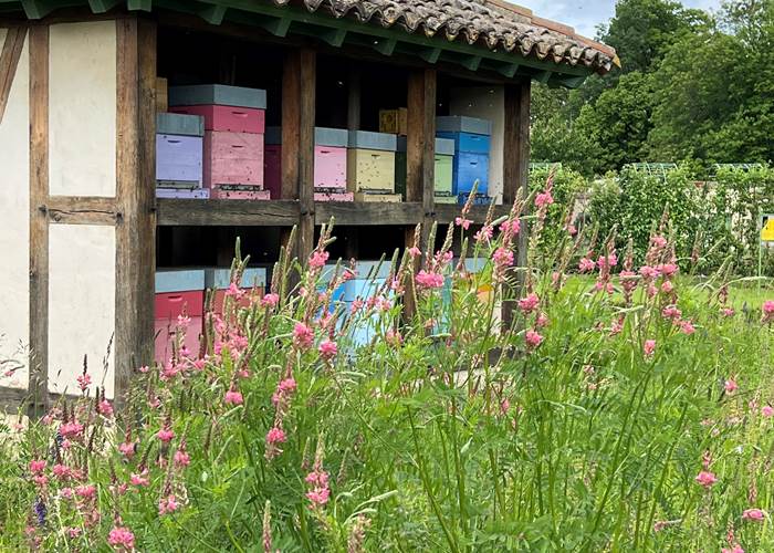 Le rucher dans les vergers-potagers