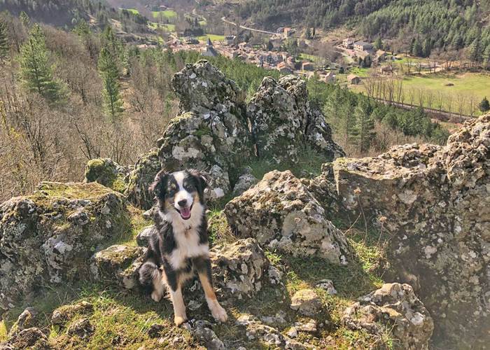 Vacances en Cévennes à Alzon  avec son chien-page