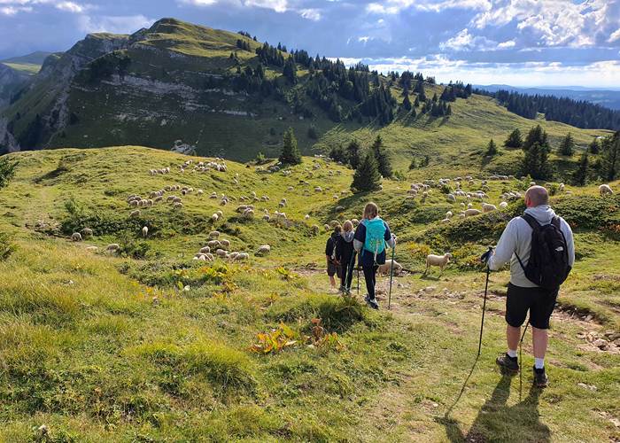 randonnée au Mont Rond
