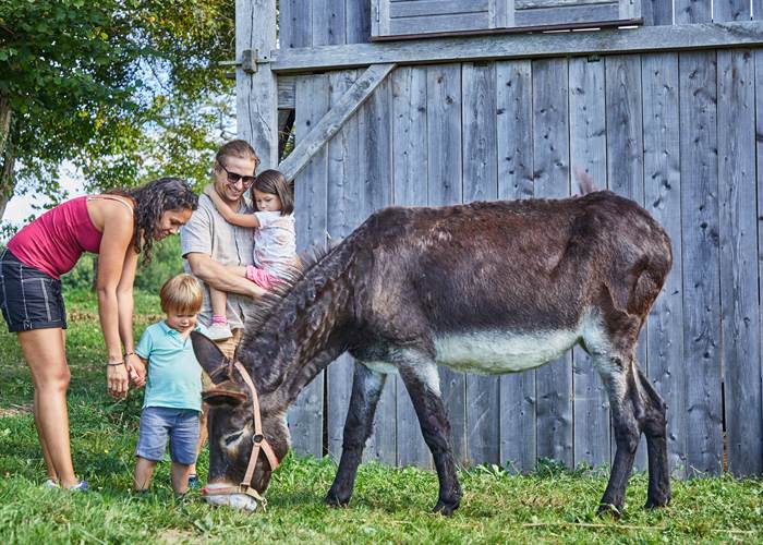 camping avec ane  à la ferme en nouvelle aquitaine