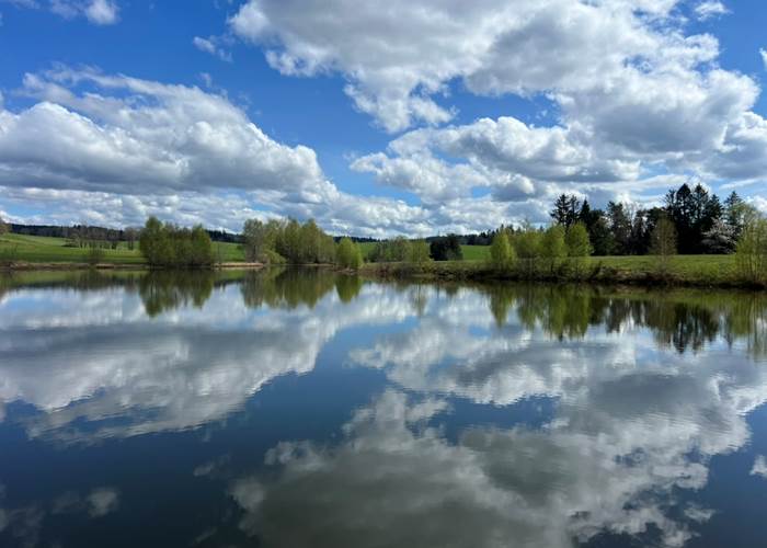 séjour dans les Vosges - une nature incomparable-news