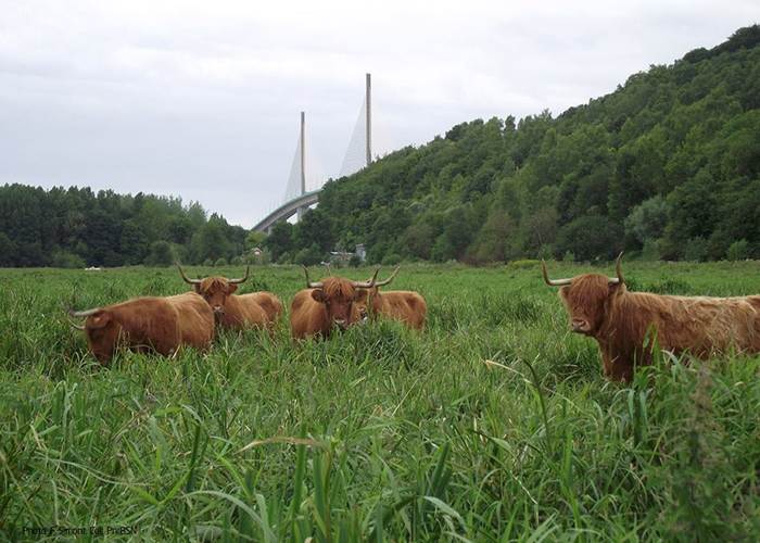 parc naturel des boucles de la seine 3